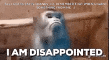 Upset I Am Disappointed GIF - Upset I Am Disappointed Disappointed GIFs