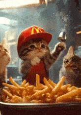 a kitten wearing a mcdonald 's hat and apron is holding a salt shaker over a bowl of french fries