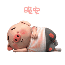 pig cute pig pink pig sleeping sleepy