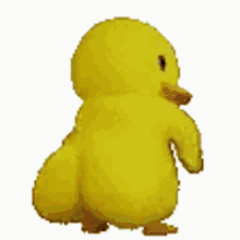 Duck Shake GIF - Duck Shake GIFs