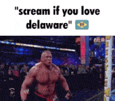 a picture of a wrestling match with the words " scream if you love delaware "