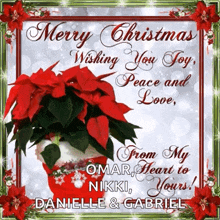 Merrychristmas Poinsettia GIF - Merrychristmas Poinsettia Lovejoypeace GIFs
