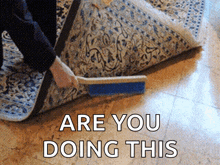 sweep sweep under rug rug cleaning carpet