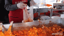 food processing foodie korean food chinese food