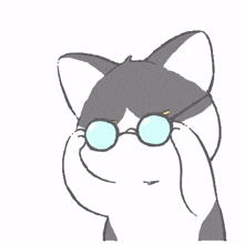 cat gray glasses what did you say disagree