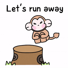 run monkey