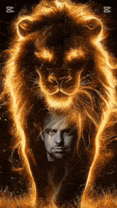 a picture of a lion with a man 's face behind it