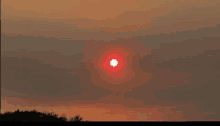Crimson Sun GIF