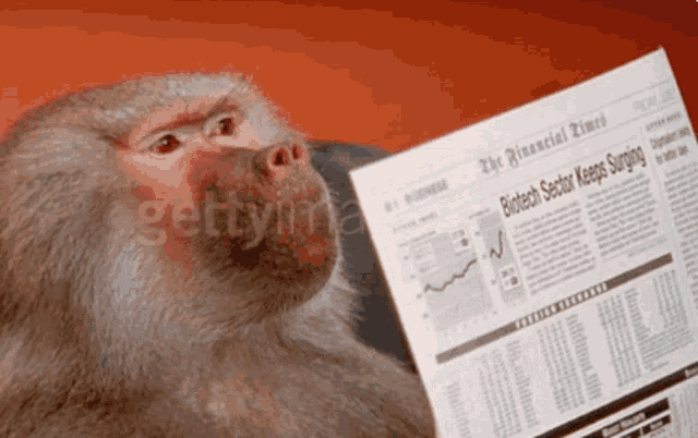 Reading Monkey GIF - Reading Monkey Report GIFs