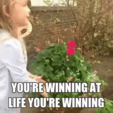 Girl Youre Winning At Life GIF - Girl Youre Winning At Life Motivation GIFs