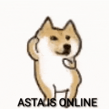 Asta Is Online GIF