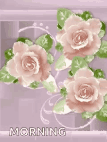 flower roses