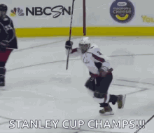 Stanley Cup Champs Alexander Ovechkin GIF