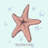 a drawing of a starfish with the word backdoor written on it .