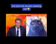 a cat joins his owners meeting with a man