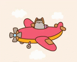 cat-airplane.gif