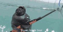 Soviet Nigga Seal GIF - Soviet Nigga Seal GIFs