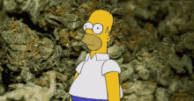Weed Homer Simpson GIF - Weed Homer Simpson The Simpsons GIFs