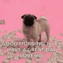 Good Morning Jules Pugs And Money GIF - Good Morning Jules Pugs And Money Rich GIFs