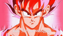 Rule 527 Goku Rule GIF - Rule 527 Goku Rule Goku Rule 527 GIFs