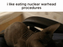 Nuclear Warhead Cat Spinning Cat GIF