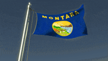 a montana flag is flying in the wind against a blue sky