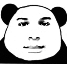 a black and white photo of a panda bear 's face with a smile on it .