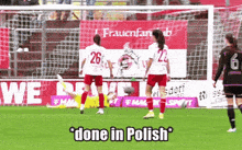 Polwnt Poland Wnt GIF - Polwnt Poland Wnt Done In Polish GIFs