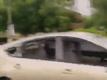 Angry Tigre Mom Smash A Car GIF - Angry Tigre Mom Smash A Car Smash A Car With A Baseball Bat GIFs