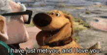 Up Dog GIF - Up Dog I Just Met You GIFs
