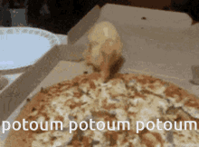 Potoum Duck GIF - Potoum Duck Poop GIFs