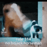 Rule 314 GIF - Rule 314 Rule 314 GIFs