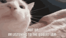 Bobert Boberts GIF - Bobert Boberts Night At Boberts GIFs