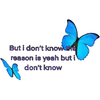 two blue butterflies with the words " but i don 't know the reason is yeah but i don 't know " below them