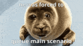 a seal with the words he was forced to queue main scenario