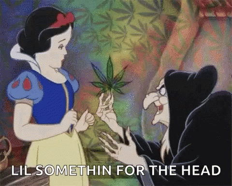snow white weed