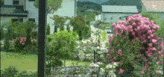 a garden with pink and white flowers and a house in the background .