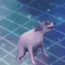 a pink dog is swimming in a pool .