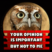 your opinion is important not important to me unimportant owl full moon