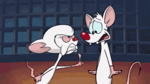 animaniacs pinky and the brain angry pissed off