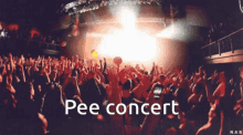 Concert Pee Concert GIF - Concert Pee Concert GIFs