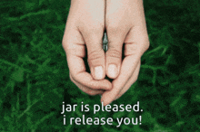 a person holding a small bug in their hands with the words jar is pleased i release you below them