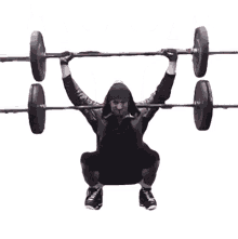 squat weights