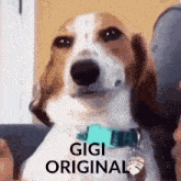 Gigi Original GIF