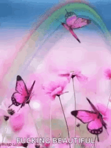 Butterflies Flying GIF - Butterflies Flying Rainbow GIFs