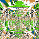 a computer generated image of a maze with a green and white pattern