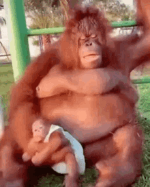 Orangutan Artificialbloom GIF - Orangutan Artificialbloom Monkey Mom GIFs
