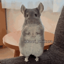 Mouse Four Fingers GIF - Mouse Four Fingers Mouse With4fingers GIFs