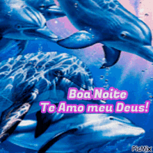 Boa Noite Te Amo Meu Deus GIF - Boa Noite Te Amo Meu Deus Dolphins GIFs