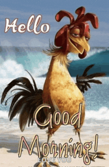 a picture of a rooster on the beach with the words hello good morning i love you